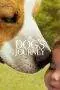 Nonton Film A Dog’s Journey (2019) Terbaru Subtitle Indonesia