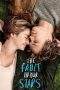 Nonton Film The Fault in Our Stars (2014) Terbaru Subtitle Indonesia