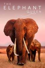 Nonton Film The Elephant Queen (2019) Terbaru Subtitle Indonesia
