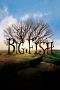 Nonton Film Big Fish (2003) Terbaru Subtitle Indonesia