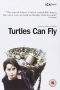 Nonton Film Turtles Can Fly (2004) Terbaru Subtitle Indonesia