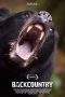 Nonton Film Backcountry (2014) Terbaru Subtitle Indonesia