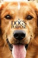 Nonton Film A Dog’s Purpose (2017) Terbaru Subtitle Indonesia
