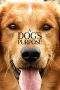Nonton Film A Dog’s Purpose (2017) Terbaru Subtitle Indonesia