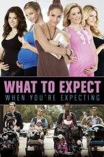 Nonton Film What to Expect When You’re Expecting (2012) Terbaru Subtitle Indonesia