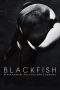Nonton Film Blackfish (2013) Terbaru Subtitle Indonesia