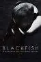 Nonton Film Blackfish (2013) Terbaru Subtitle Indonesia