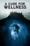 Nonton Film A Cure for Wellness (2016) Terbaru Subtitle Indonesia