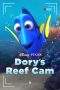 Nonton Film Dory’s Reef Cam (2020) Terbaru Subtitle Indonesia