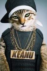 Nonton Film Keanu (2016) Terbaru Subtitle Indonesia