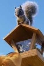 Nonton Film Dug Days Season 1 Episode 1 Terbaru Subtitle Indonesia