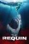 Nonton Film The Requin (2022) Terbaru Subtitle Indonesia