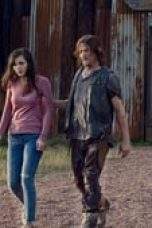 Nonton Film The Walking Dead Season 9 Episode 11 Terbaru Subtitle Indonesia