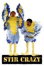 Nonton Film Stir Crazy (1980) Terbaru Subtitle Indonesia