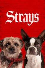 Nonton Film Strays (2023) Terbaru Subtitle Indonesia