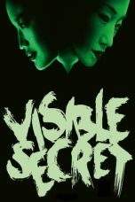 Nonton Film Visible Secret (2001) Terbaru Subtitle Indonesia