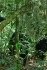 Nonton Film Chimp Empire Season 1 Episode 2 Terbaru Subtitle Indonesia