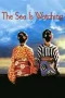 Nonton Film The Sea Is Watching (2002) Terbaru Subtitle Indonesia