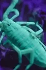 Nonton Film Alien Worlds Season 1 Episode 2 Terbaru Subtitle Indonesia